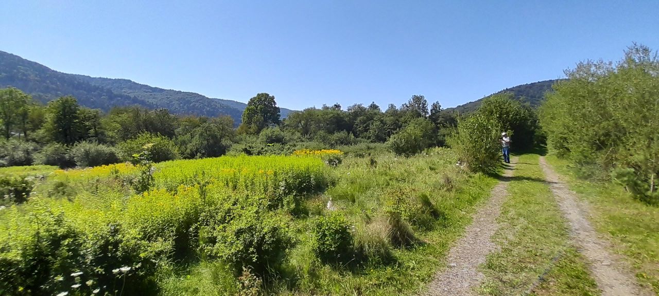 Działka budowlana Uście Gorlickie Oderne. Zdjęcie 5