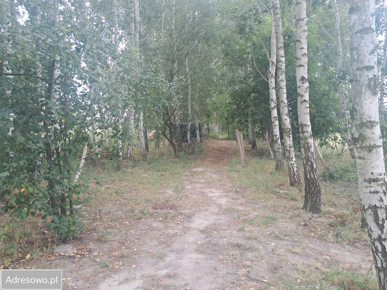 Działka rolno-budowlana Strojec, ul. Zacisze. Zdjęcie 19