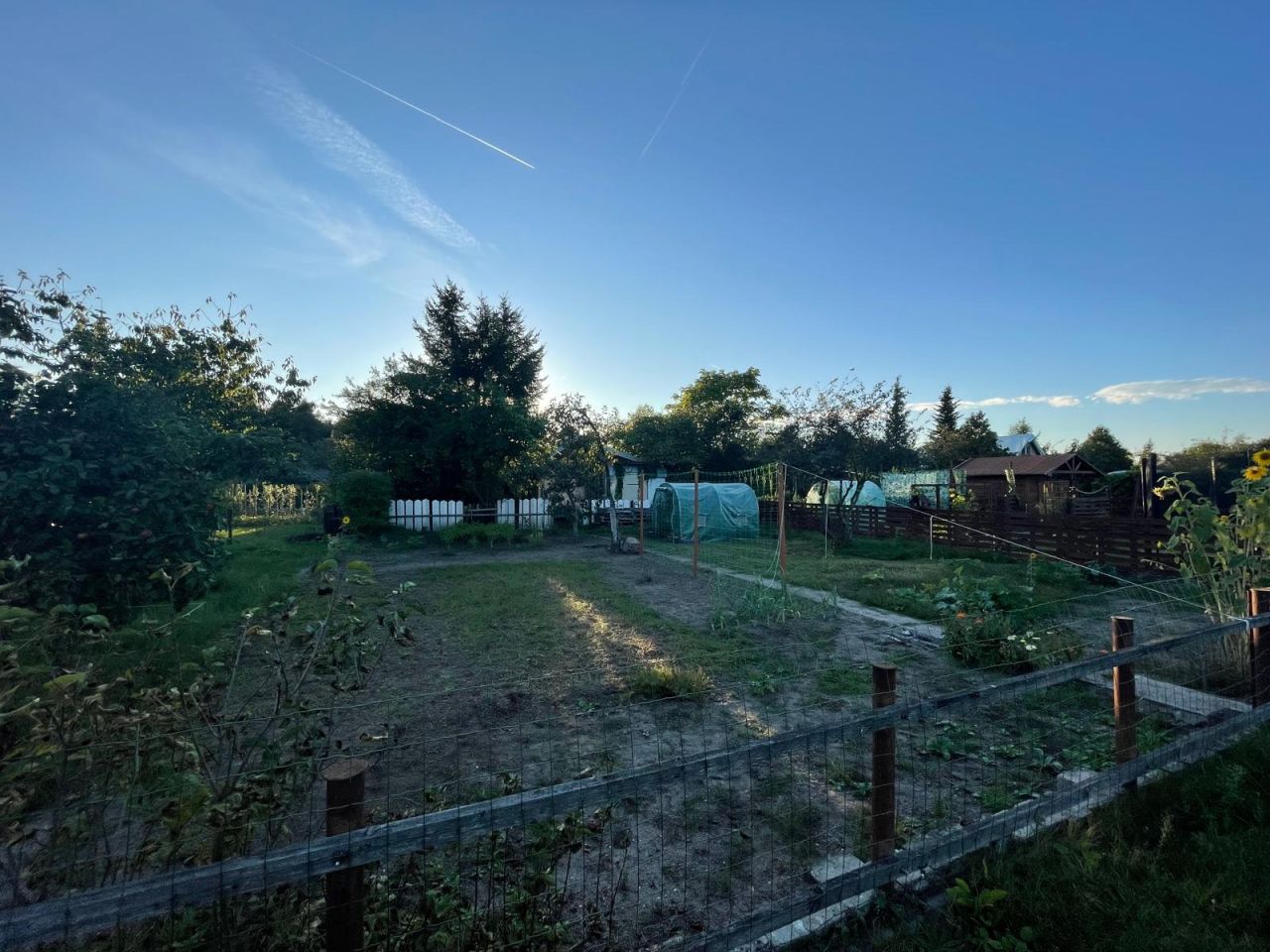 Działka rod Wrocław Stabłowice, ul. Górecka. Zdjęcie 2