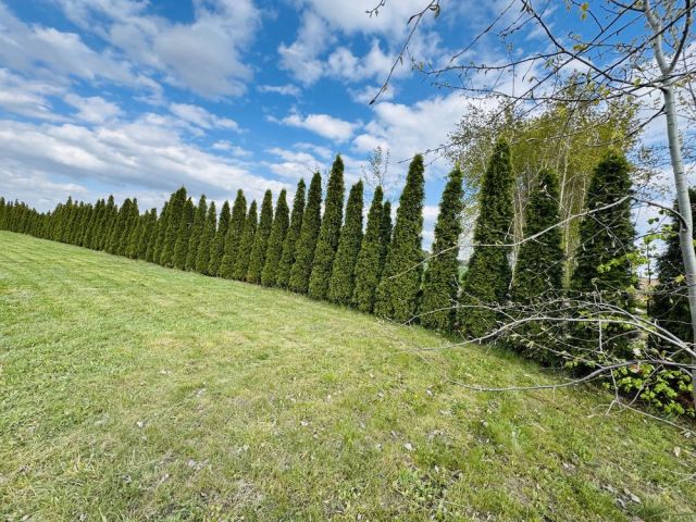 Działka rekreacyjna Woszczele. Zdjęcie 1