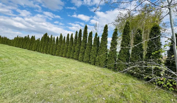 Działka rekreacyjna Woszczele