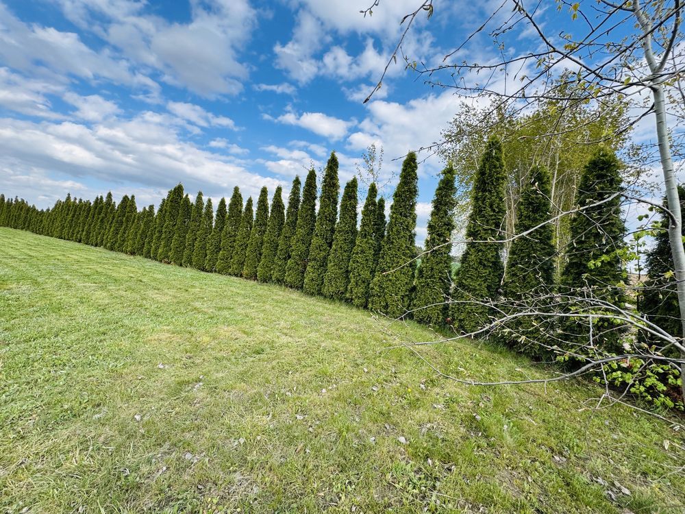 Działka rekreacyjna Woszczele. Zdjęcie 1