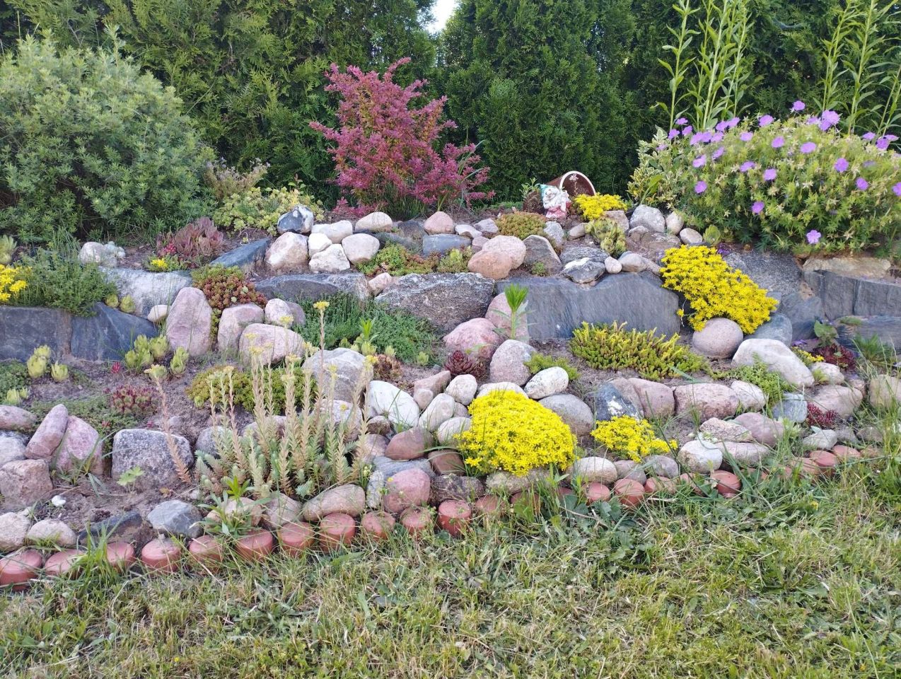 Działka rod Białystok Dojlidy, ul. Dojnowska. Zdjęcie 6