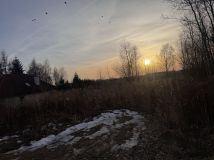 Działka budowlana Panieńszczyzna. Zdjęcie 1