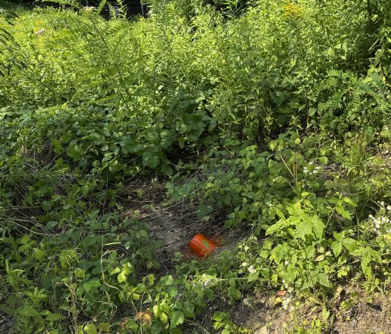 Działka budowlana Jasło, ul. Młynarska. Zdjęcie 8