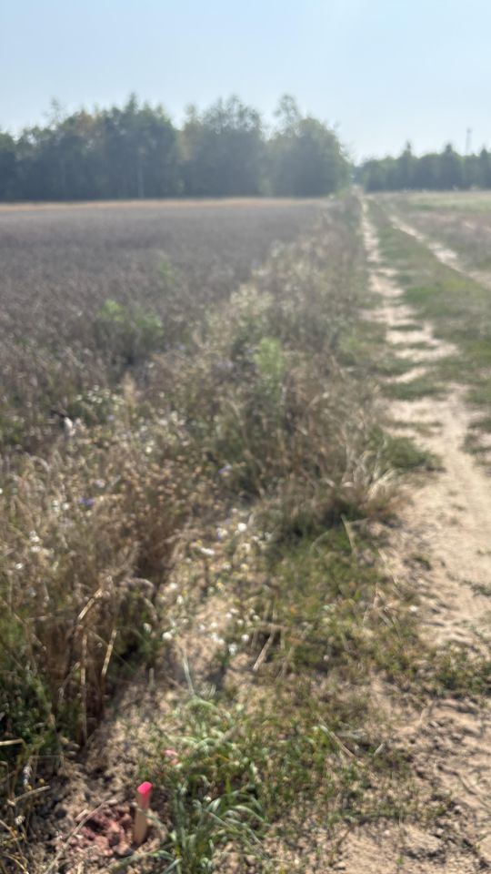 Działka rolno-budowlana Sierosławice Za Wiśniną, ul. Skalna. Zdjęcie 8