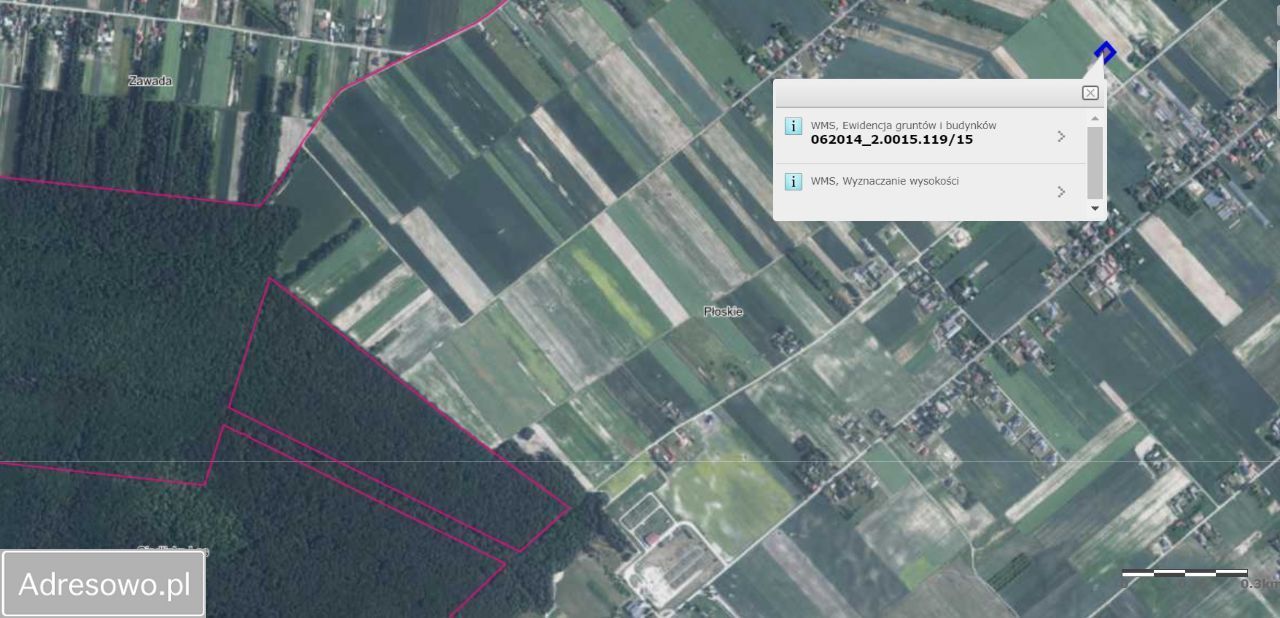 Działka rolno-budowlana Płoskie. Zdjęcie 3