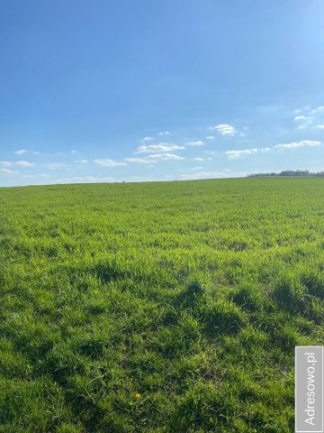 Działka rolna Iwanowice Włościańskie. Zdjęcie 1