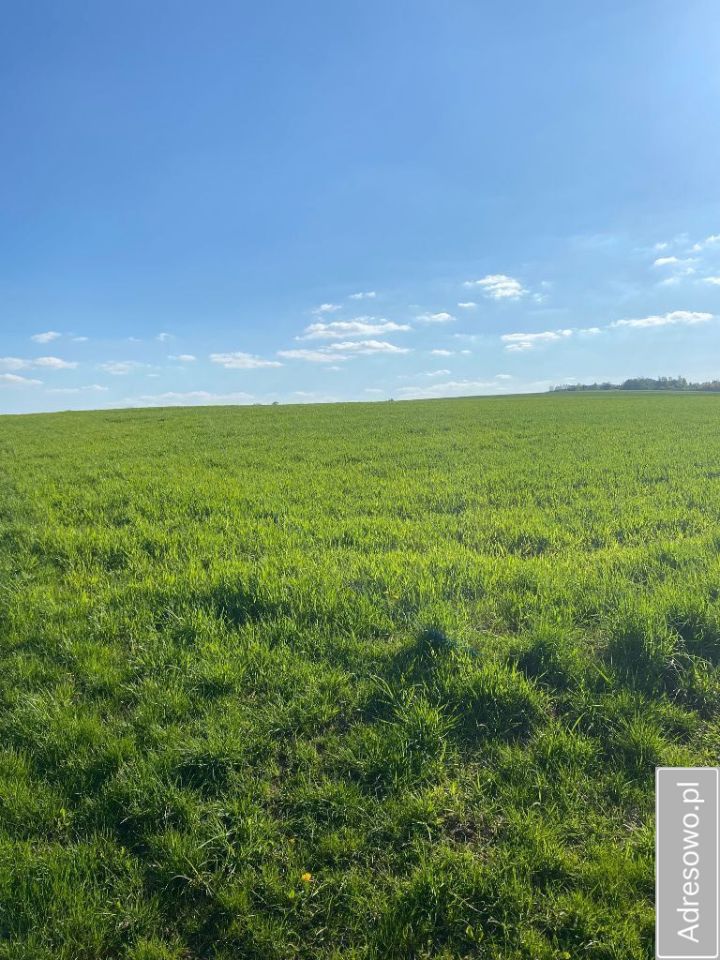 Działka rolna Iwanowice Włościańskie
