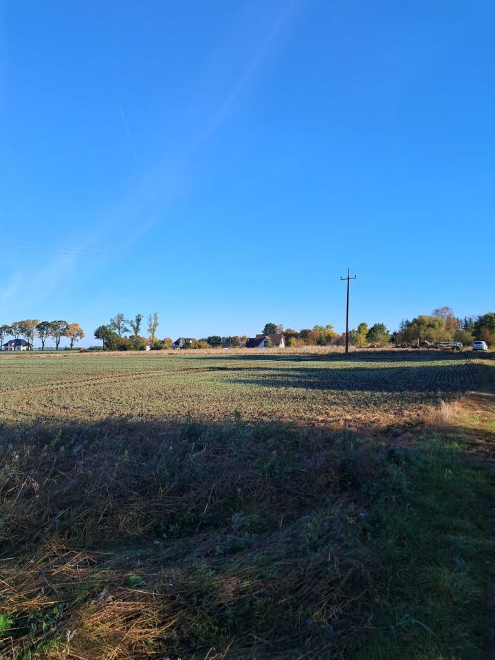 Działka siedliskowa Sławno. Zdjęcie 3