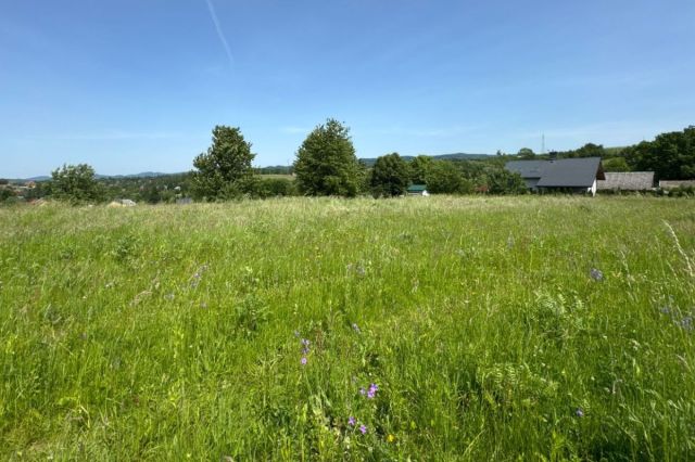 Działka budowlana Zahutyń. Zdjęcie 7