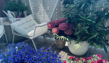 Mieszkanie 3-pokojowe Stargard Centrum, ul. Adama Mickiewicza