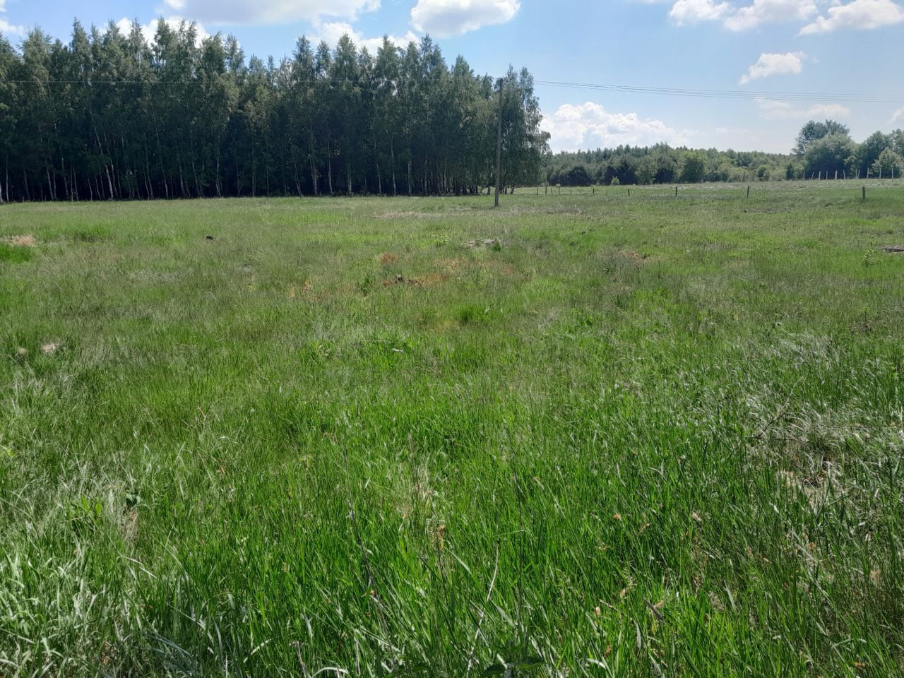Działka rolno-budowlana Babiec-Więczanki. Zdjęcie 11