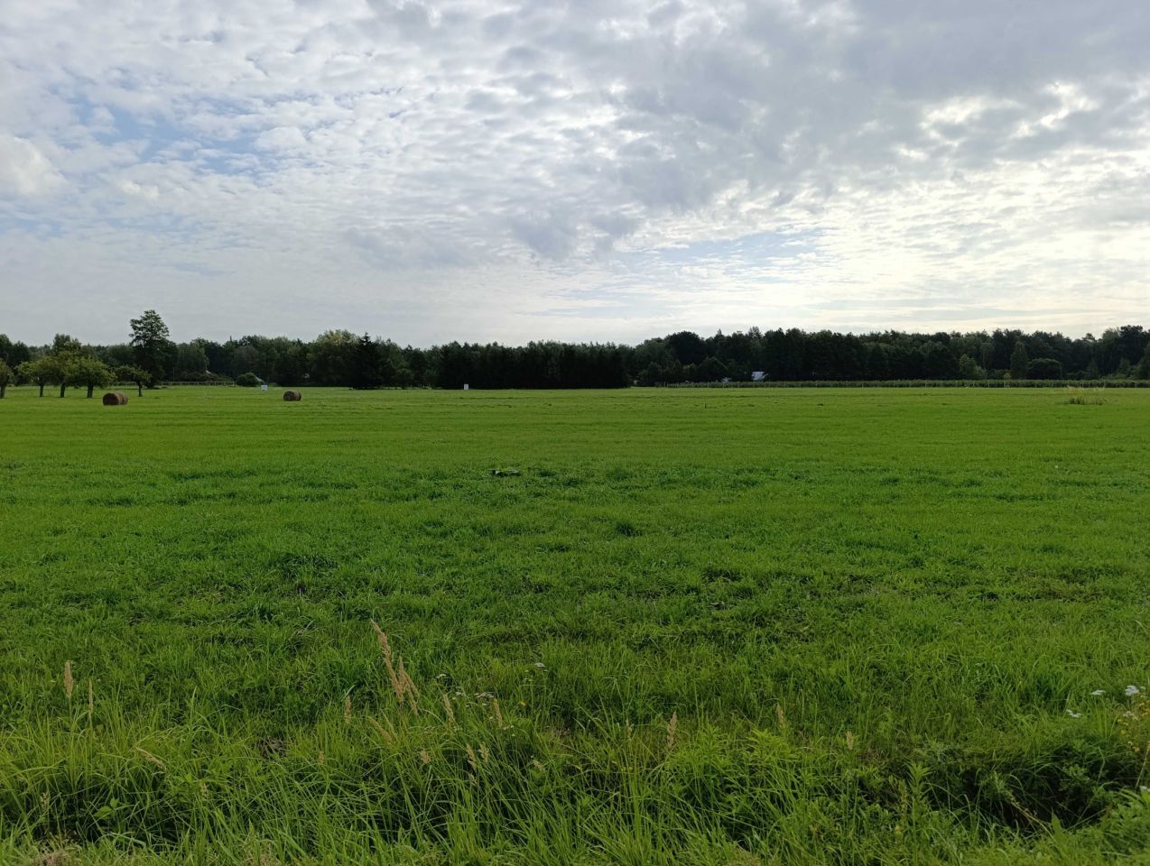 Działka budowlana Malcanów, ul. Jeździecka. Zdjęcie 2