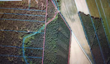 Działka leśna Kaczka