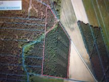 Działka leśna Kaczka