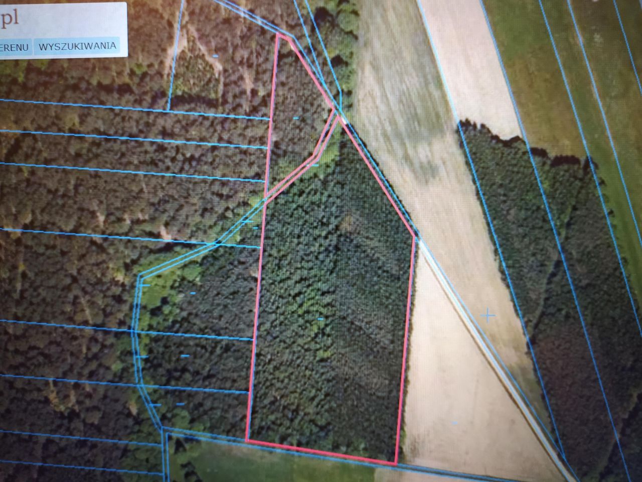 Działka leśna Kaczka