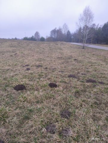 Działka rolno-budowlana Nowy Dwór. Zdjęcie 1