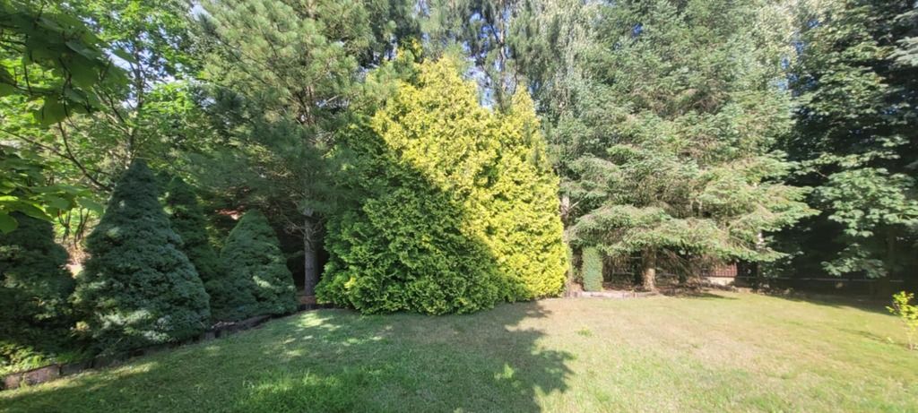 dom wolnostojący, 6 pokoi Złotokłos. Zdjęcie 26