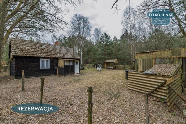 Działka leśna Kije. Zdjęcie 21