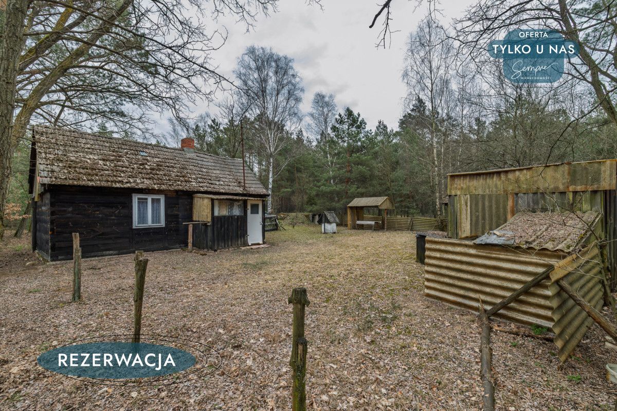 Działka leśna Kije. Zdjęcie 21