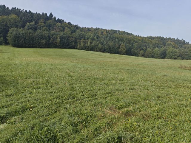 Działka budowlana Zahoczewie. Zdjęcie 1