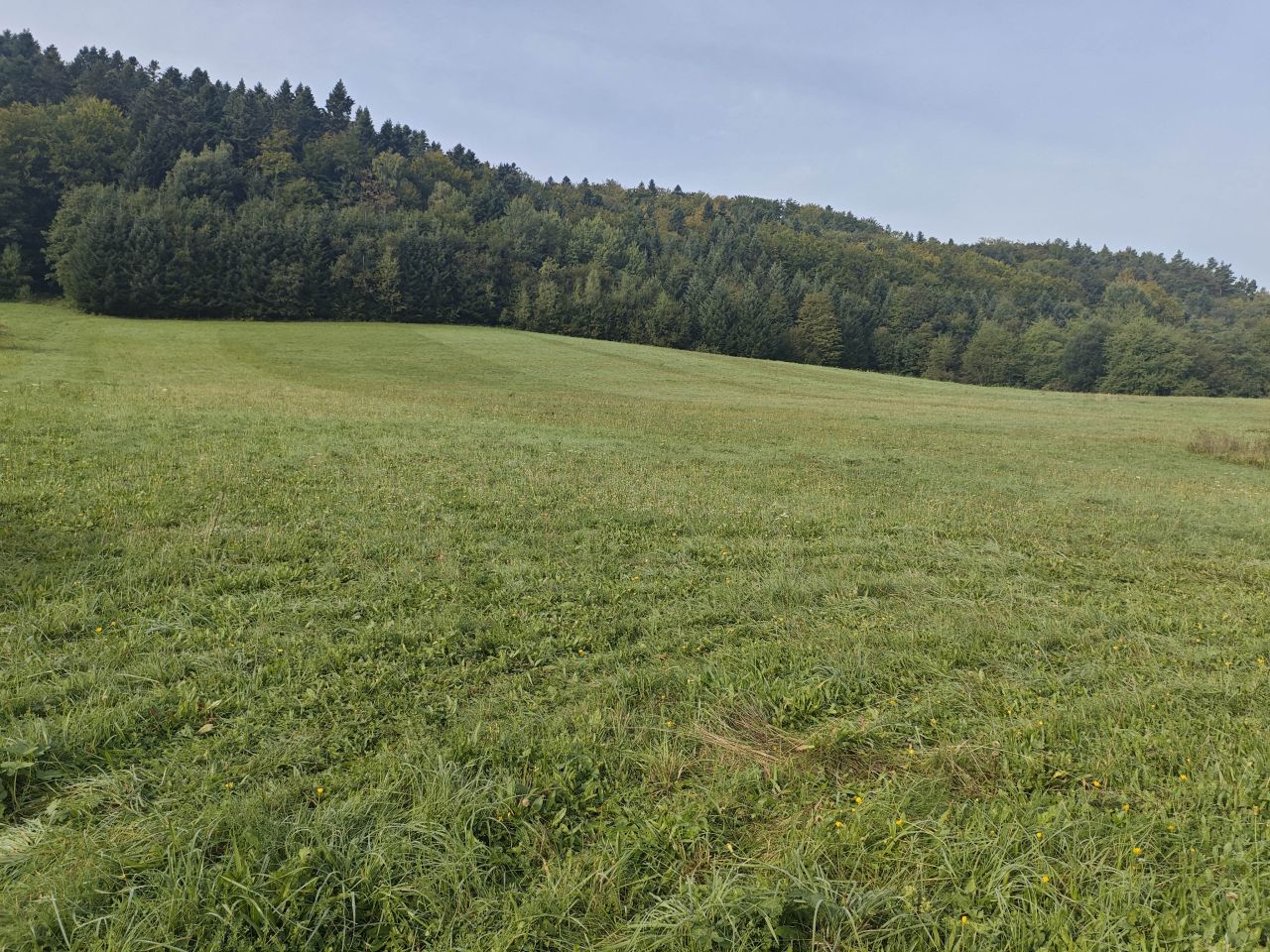 Działka budowlana Zahoczewie