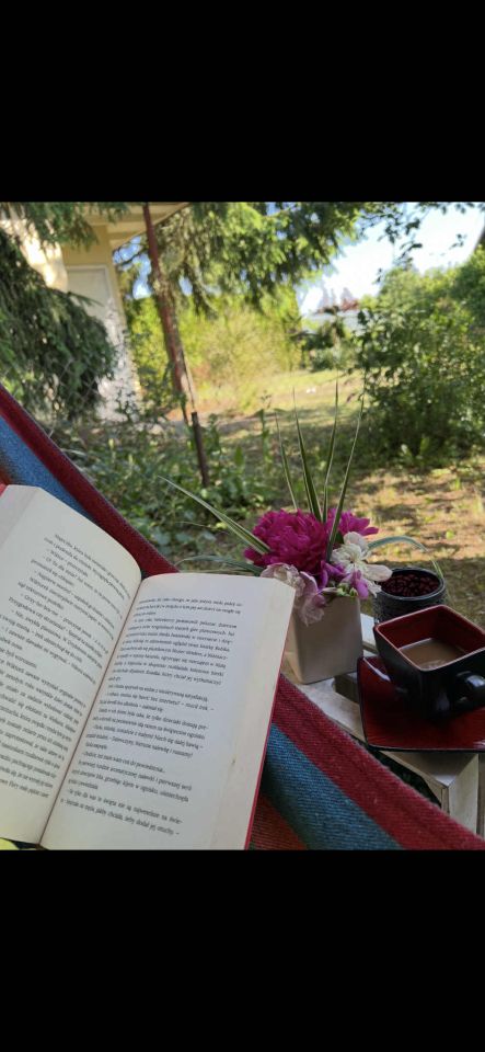 Działka rod Ciechocinek Kępa Dzikowska, ul. Cypriana Kamila Norwida. Zdjęcie 12