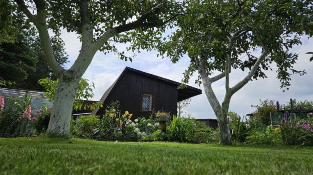 Działka rod Gdańsk Zabornia, ul. Łabędzia. Zdjęcie 1