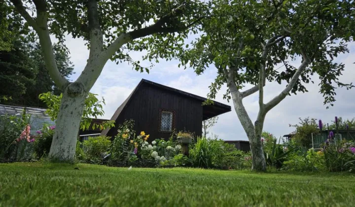 Działka rod Gdańsk Zabornia, ul. Łabędzia