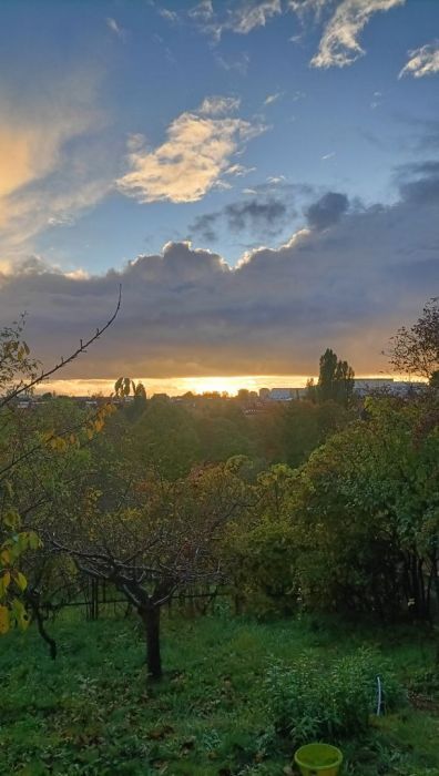 Działka rod Gdańsk Aniołki. Zdjęcie 5