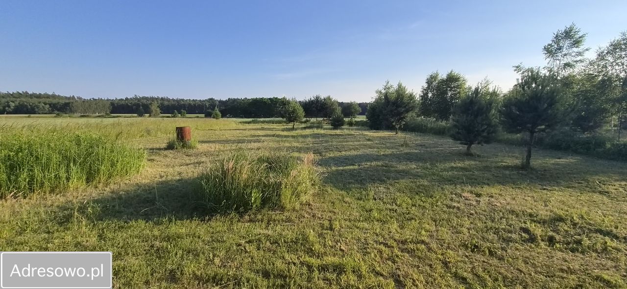 Działka budowlana Ciućkowo. Zdjęcie 2