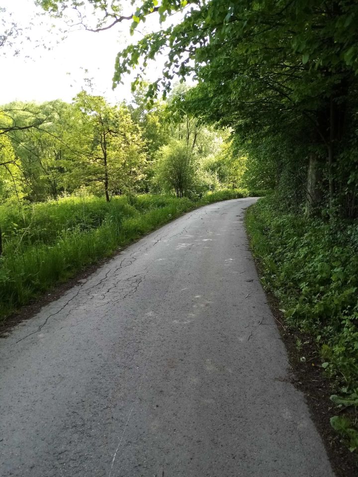 Działka rolna Włosań. Zdjęcie 3