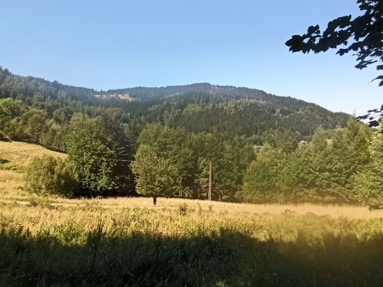 Działka rekreacyjna Zawoja. Zdjęcie 8