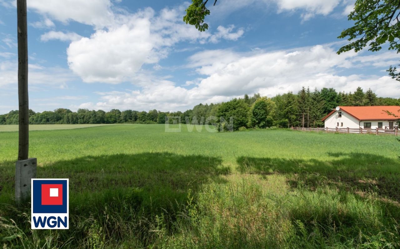 Działka inwestycyjna Piskajny. Zdjęcie 3