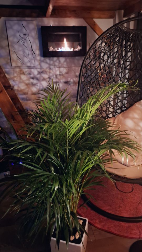 Mieszkanie 1-pokojowe Szczecin Centrum, ul. Monte Cassino. Zdjęcie 11