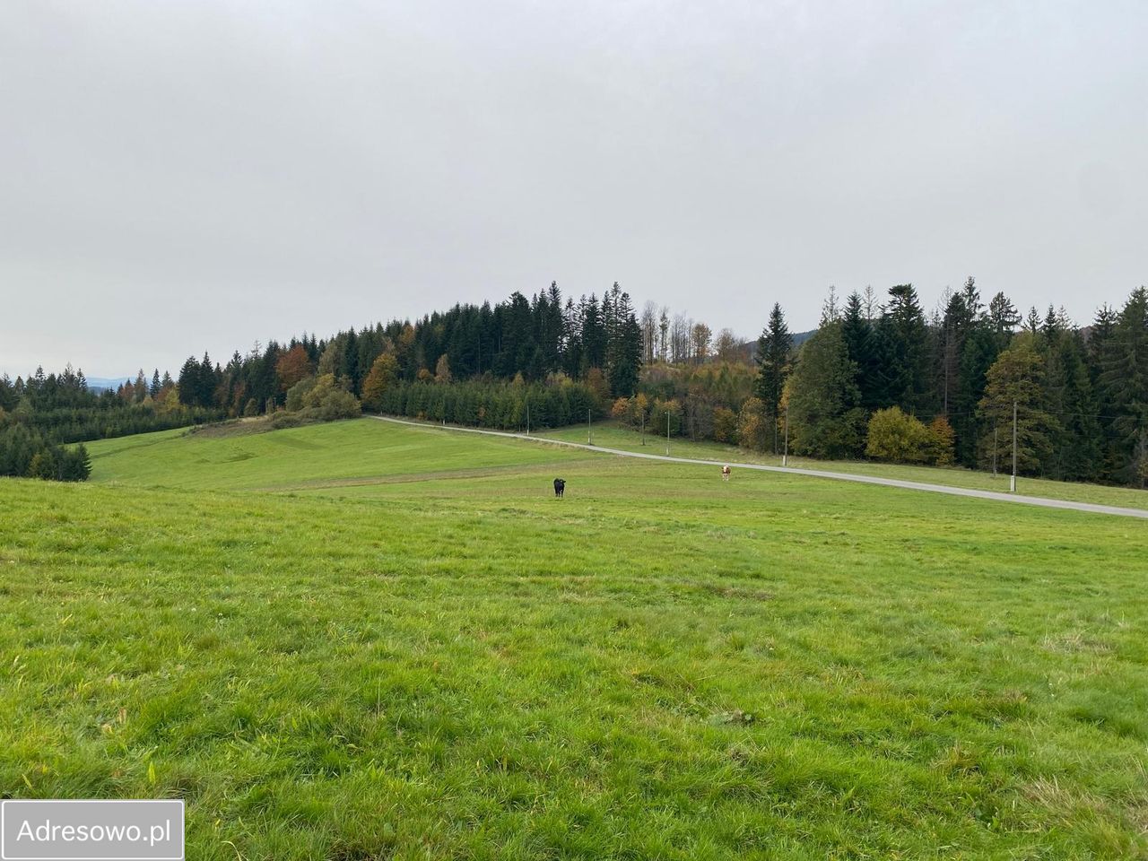 Działka inwestycyjna Jaworzynka Łupienie. Zdjęcie 10