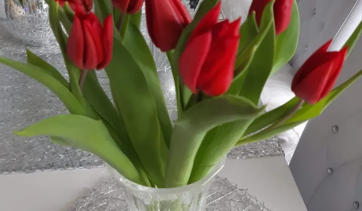 Mieszkanie 2-pokojowe Wejherowo, ul. Jana III Sobieskiego