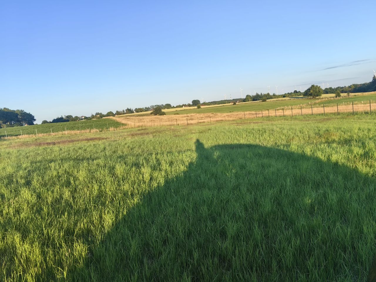 Działka rolna Gniewino, ul. Mostowa. Zdjęcie 2