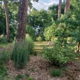 dom wolnostojący, 3 pokoje Łask Kolumna-Las, ul. Lubelska. Zdjęcie 1