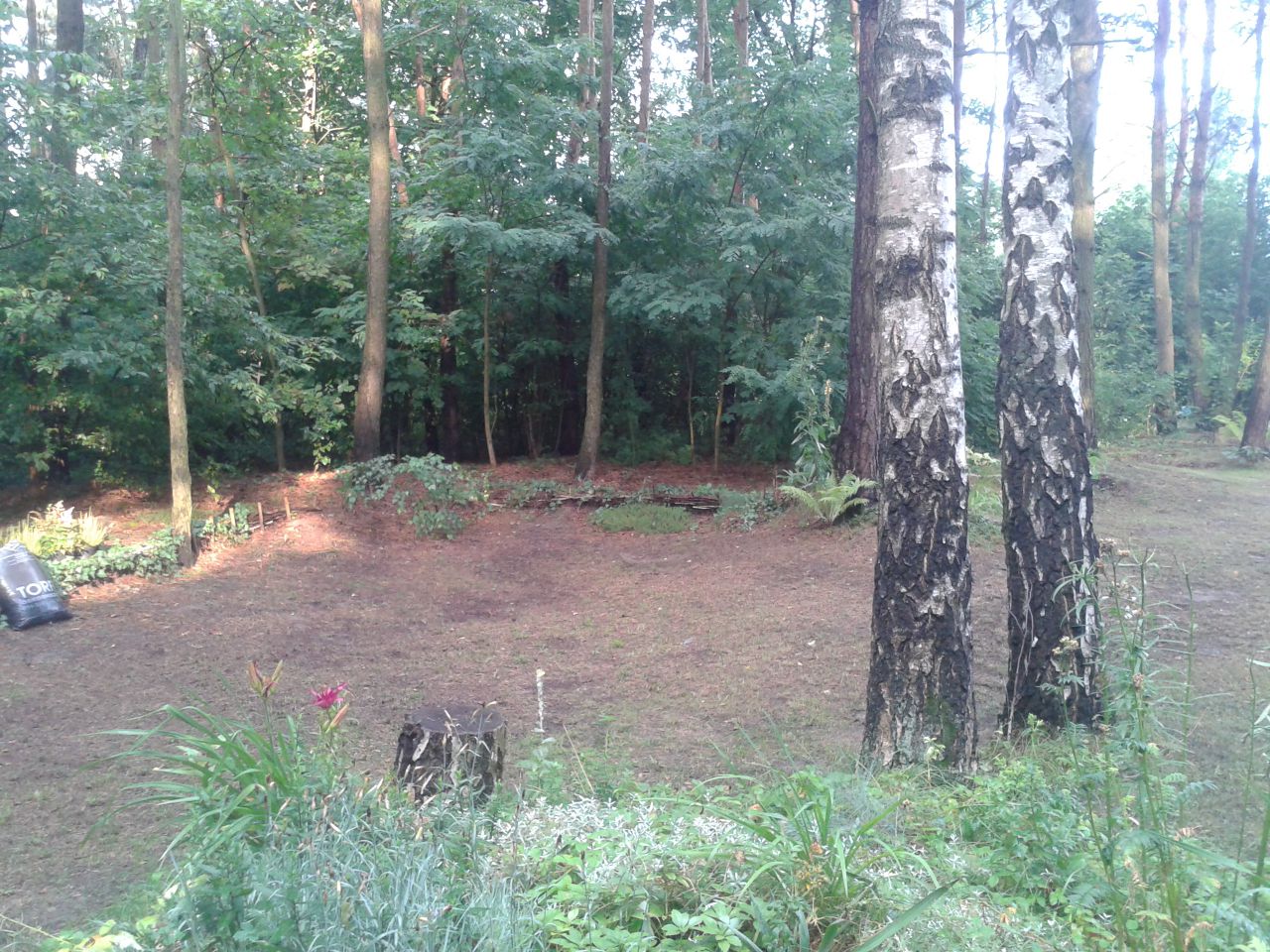 Działka rekreacyjna Zambski Kościelne. Zdjęcie 8