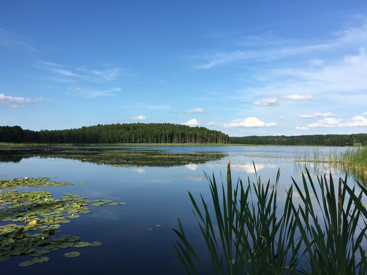 dom wolnostojący, 4 pokoje Gamerki Wielkie. Zdjęcie 7