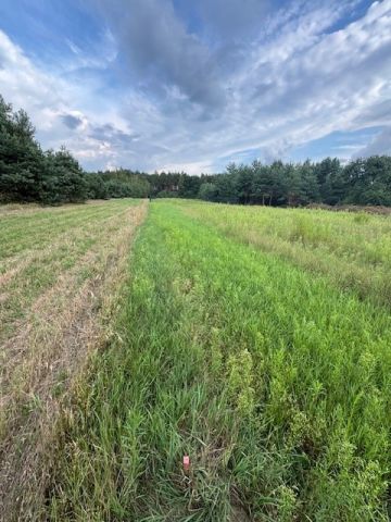 Działka rolno-budowlana Kuligów, ul. Dębinowa. Zdjęcie 11