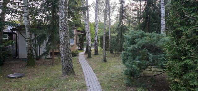 Działka rod Grochowa, ul. Zbigniewa Pawlaka. Zdjęcie 12