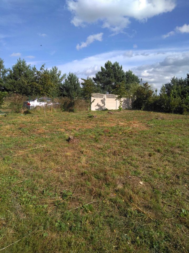 Działka rolno-budowlana Bednary. Zdjęcie 4