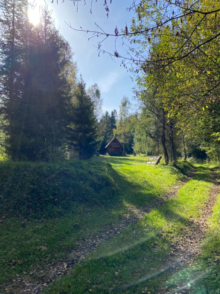 Działka inwestycyjna Zawoja. Zdjęcie 6