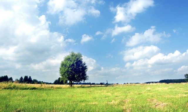 Działka budowlana Koplany. Zdjęcie 1