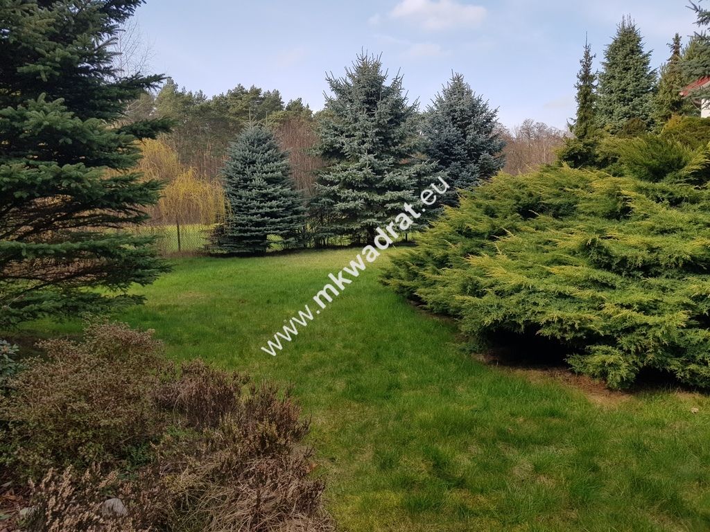 Działka Budy Wolskie. Zdjęcie 5