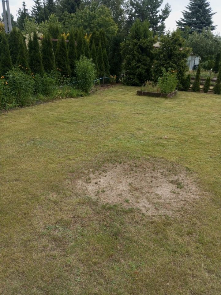 Działka rod Brodnica, ul. Boczna. Zdjęcie 2