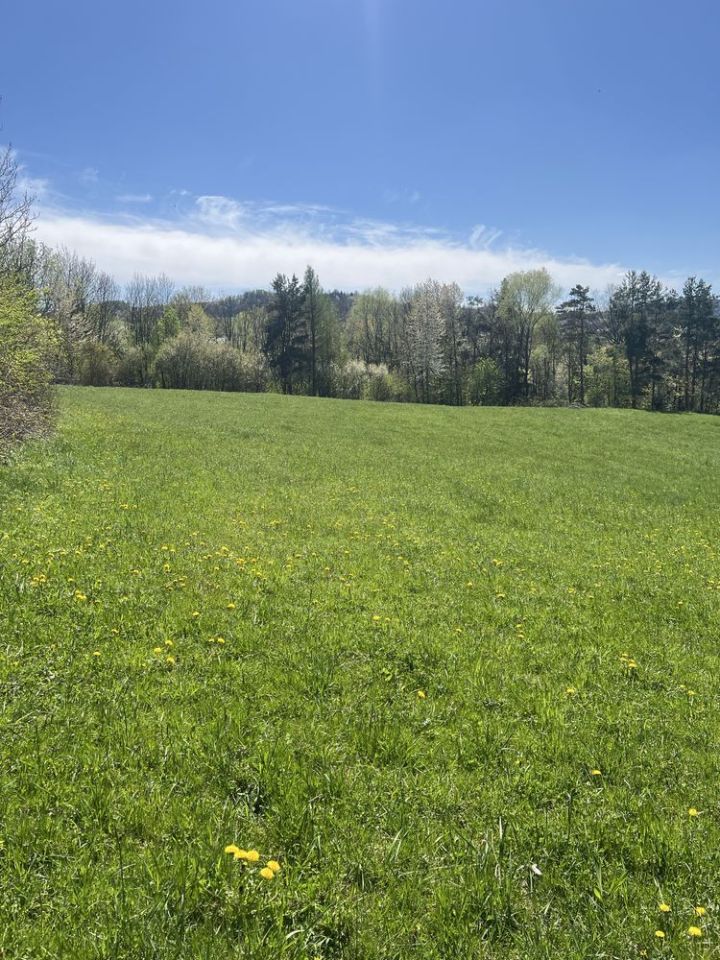 Działka budowlana Krużlowa Wyżna. Zdjęcie 5